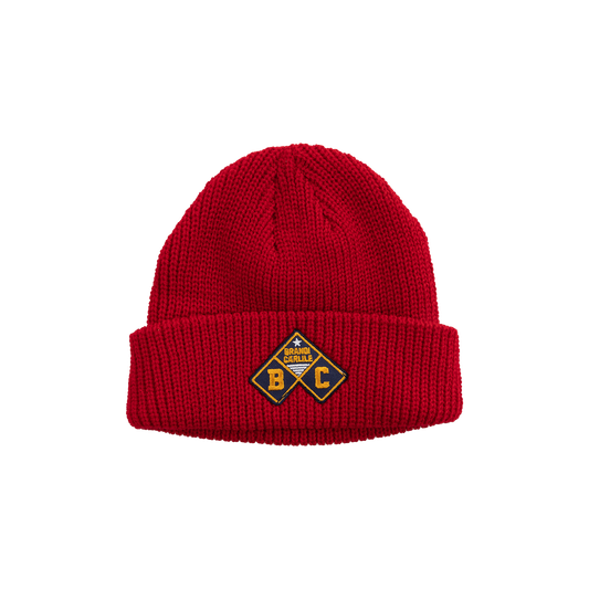 The Human Tour Logo Beanie
